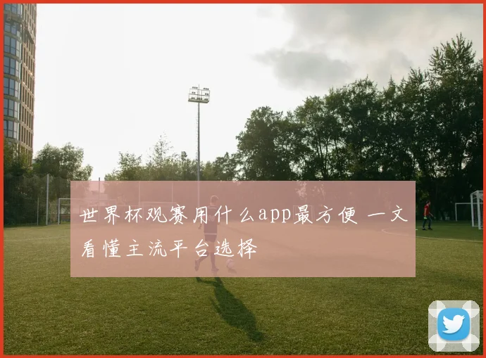 世界杯观赛用什么app最方便 一文看懂主流平台选择